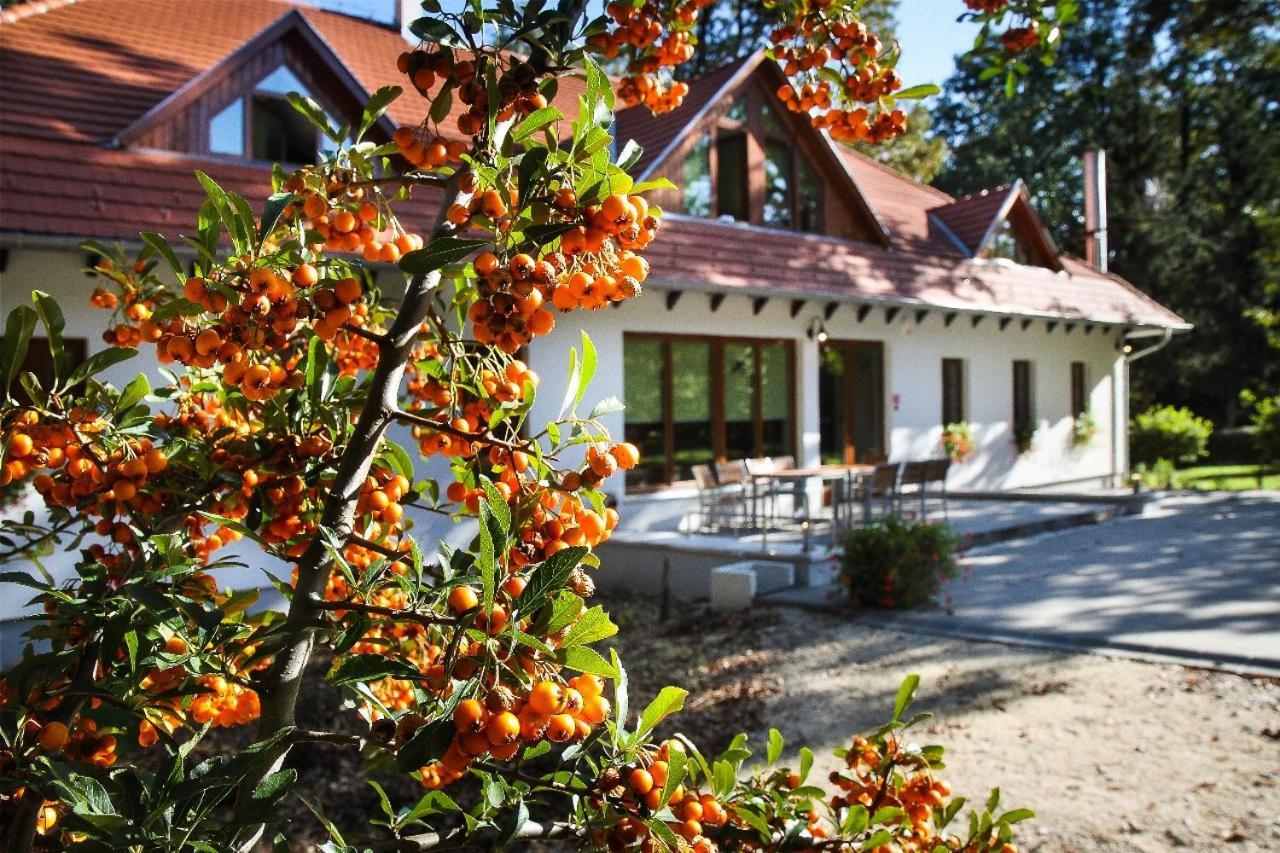 Hodoseri Vadaszhaz Bakonyszentlaszlo Buitenkant foto